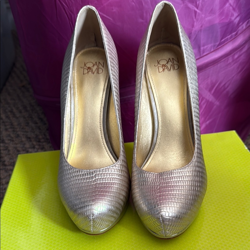 Joan & David Silver Pumps